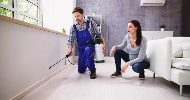 Best Residential Pest Control  in East Quincy, CA